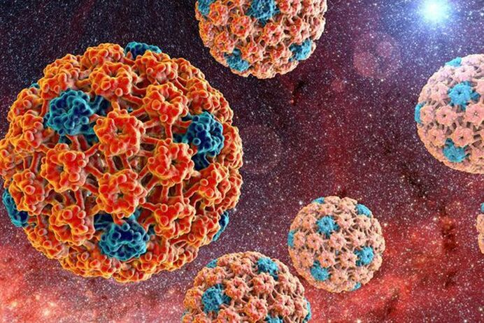Wie wird das humane Papillomavirus übertragen 